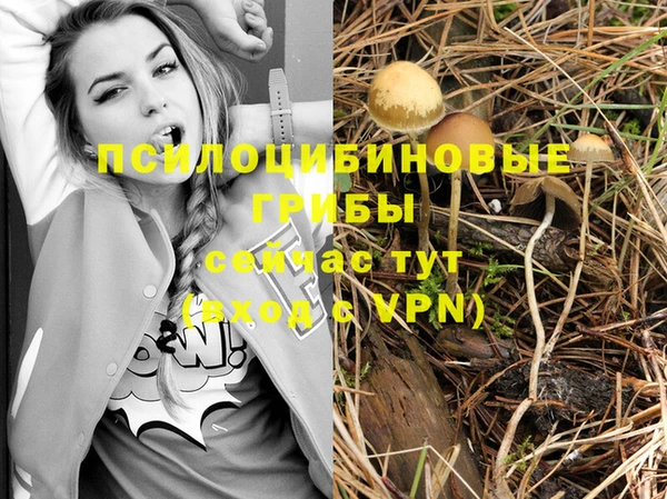 метамфетамин Горнозаводск